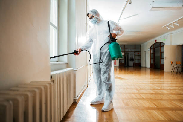 Best Local Pest Control Services  in Frostproof, FL